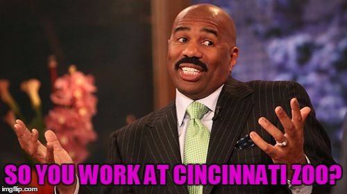 SO YOU WORK AT CINCINNATI ZOO? | image tagged in memes,steve harvey | made w/ Imgflip meme maker