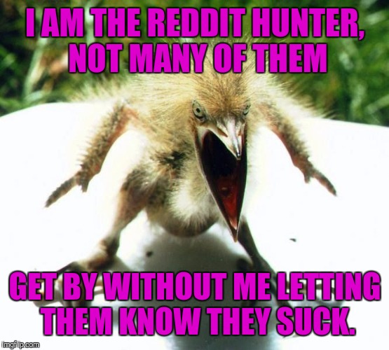 Unpleasant Bird | I AM THE REDDIT HUNTER, NOT MANY OF THEM GET BY WITHOUT ME LETTING THEM KNOW THEY SUCK. | image tagged in unpleasant bird | made w/ Imgflip meme maker