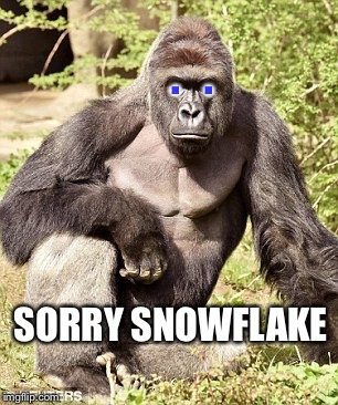 Ape | SORRY SNOWFLAKE .   . | image tagged in ape | made w/ Imgflip meme maker