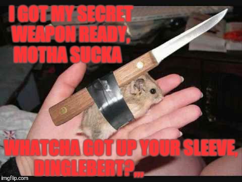 I GOT MY SECRET  WEAPON READY, MOTHA SUCKA; WHATCHA GOT UP YOUR SLEEVE, DINGLEBERT?,,, | image tagged in funny memes | made w/ Imgflip meme maker
