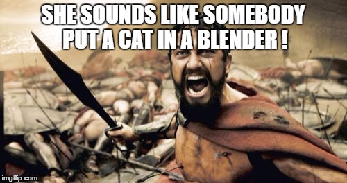 Sparta Leonidas Meme | SHE SOUNDS LIKE SOMEBODY PUT A CAT IN A BLENDER ! | image tagged in memes,sparta leonidas | made w/ Imgflip meme maker