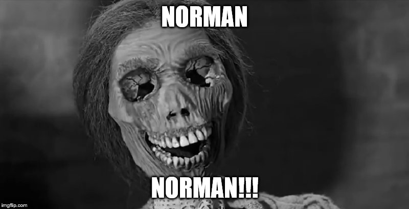 NORMAN NORMAN!!! | made w/ Imgflip meme maker