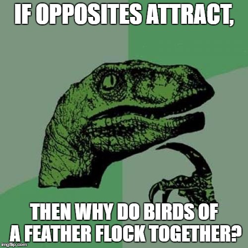 Different contexts? Hogwash. | IF OPPOSITES ATTRACT, THEN WHY DO BIRDS OF A FEATHER FLOCK TOGETHER? | image tagged in memes,philosoraptor | made w/ Imgflip meme maker