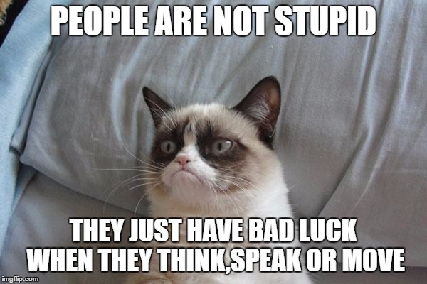 I always wonder what cats think of us when they observe our behavior?  | PEOPLE ARE NOT STUPID; THEY JUST HAVE BAD LUCK WHEN THEY THINK,SPEAK OR MOVE | image tagged in memes,grumpy cat bed,grumpy cat,stupid | made w/ Imgflip meme maker