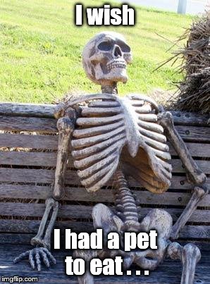 Waiting Skeleton Meme | I wish I had a pet to eat . . . | image tagged in memes,waiting skeleton | made w/ Imgflip meme maker