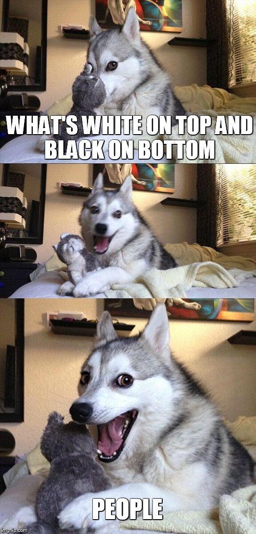 racist jokes be like | WHAT'S WHITE ON TOP
AND BLACK ON BOTTOM; PEOPLE | image tagged in memes,bad pun dog,colors | made w/ Imgflip meme maker