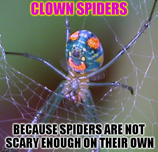 When Arachnophobia combines with Coulrophobia | CLOWN SPIDERS; BECAUSE SPIDERS ARE NOT SCARY ENOUGH ON THEIR OWN | image tagged in arachnophobia,scary clown,funny memes,coulrophobia,spiders,laughs | made w/ Imgflip meme maker