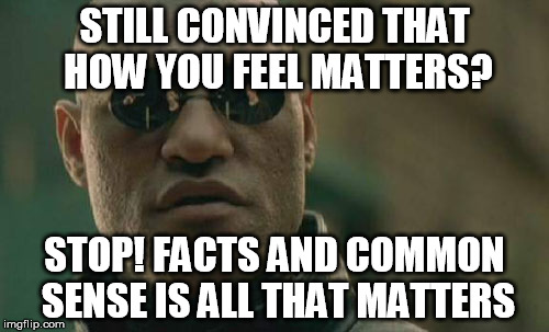 Matrix Morpheus Meme | STILL CONVINCED THAT HOW YOU FEEL MATTERS? STOP! FACTS AND COMMON SENSE IS ALL THAT MATTERS | image tagged in memes,matrix morpheus | made w/ Imgflip meme maker
