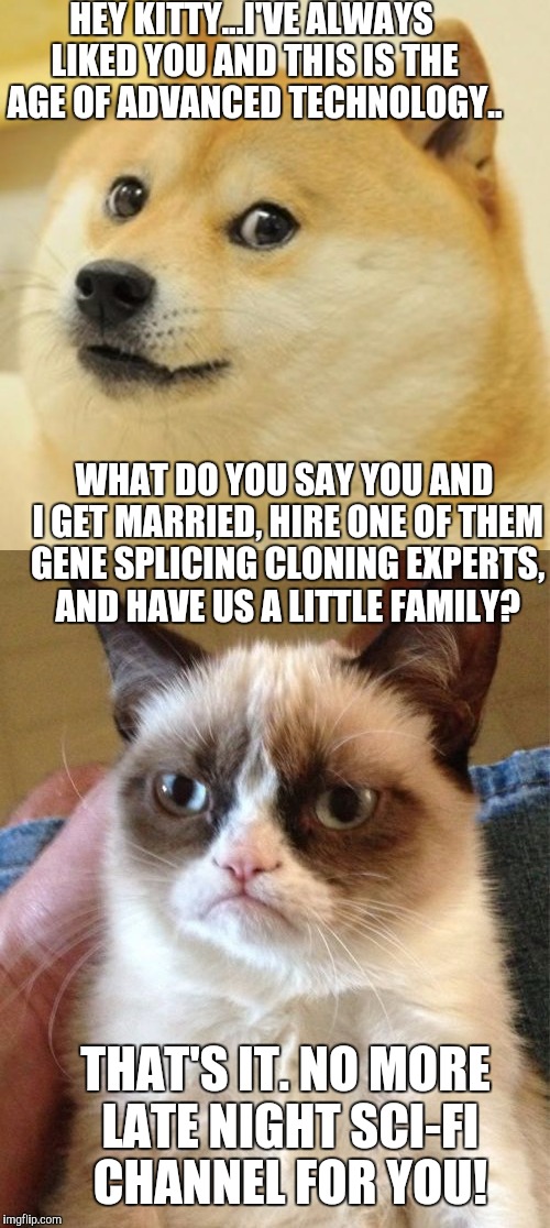 HEY KITTY...I'VE ALWAYS LIKED YOU AND THIS IS THE AGE OF ADVANCED TECHNOLOGY.. WHAT DO YOU SAY YOU AND I GET MARRIED, HIRE ONE OF THEM GENE SPLICING CLONING EXPERTS, AND HAVE US A LITTLE FAMILY? THAT'S IT. NO MORE LATE NIGHT SCI-FI CHANNEL FOR YOU! | image tagged in grumpy cat | made w/ Imgflip meme maker