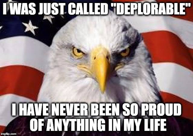 I Was Just Called Deplorable Imgflip