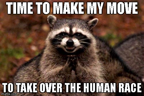 raccoons ready to make there move  | TIME TO MAKE MY MOVE; TO TAKE OVER THE HUMAN RACE | image tagged in memes,evil plotting raccoon | made w/ Imgflip meme maker