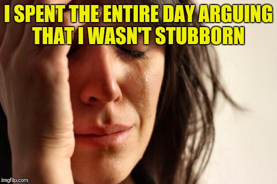 First World Problems | I SPENT THE ENTIRE DAY ARGUING THAT I WASN'T STUBBORN | image tagged in memes,first world problems | made w/ Imgflip meme maker