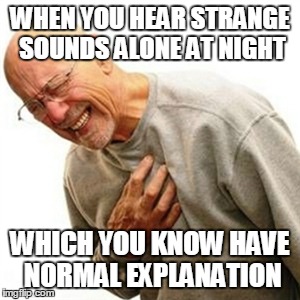 Right In The Childhood | WHEN YOU HEAR STRANGE SOUNDS ALONE AT NIGHT; WHICH YOU KNOW HAVE NORMAL EXPLANATION | image tagged in memes,right in the childhood | made w/ Imgflip meme maker