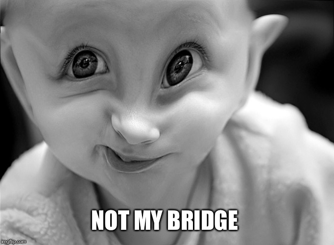 NOT MY BRIDGE | made w/ Imgflip meme maker