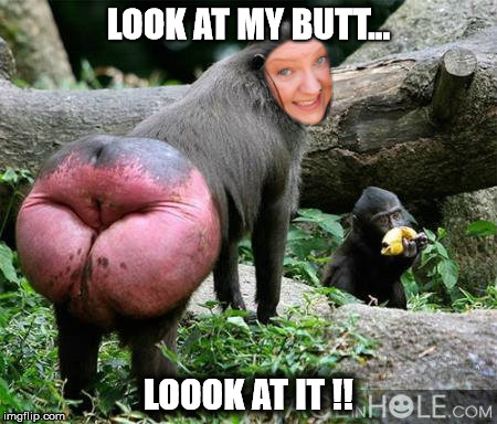 Monkey butt | LOOK AT MY BUTT... LOOOK AT IT !! | image tagged in monkey business | made w/ Imgflip meme maker