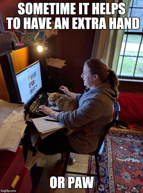 SOMETIME IT HELPS TO HAVE AN EXTRA HAND OR PAW | made w/ Imgflip meme maker