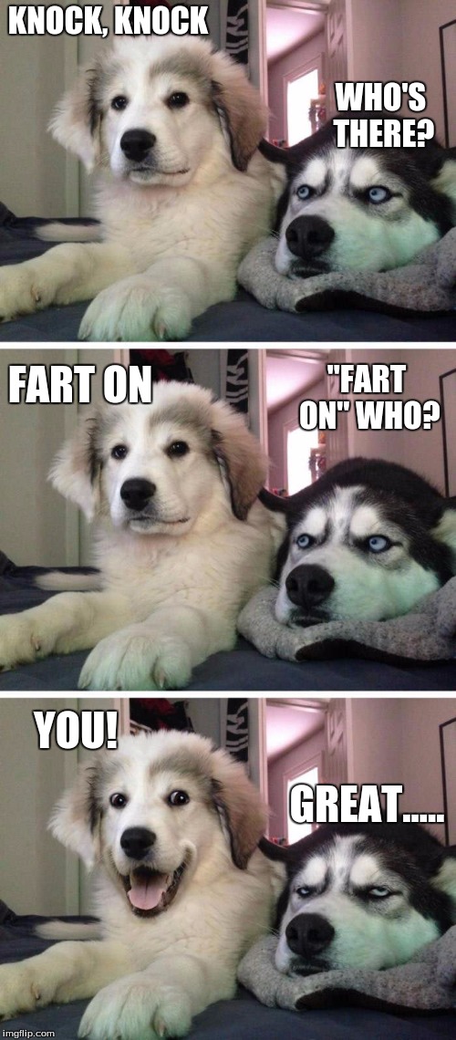 Bad Pun Puppy | KNOCK, KNOCK; WHO'S THERE? "FART ON" WHO? FART ON; YOU! GREAT..... | image tagged in bad pun puppy | made w/ Imgflip meme maker