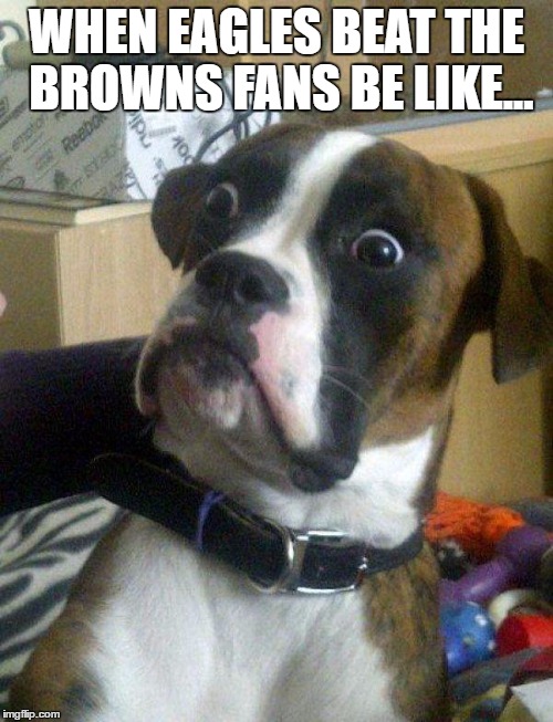Blankie the Shocked Dog | WHEN EAGLES BEAT THE BROWNS FANS BE LIKE... | image tagged in blankie the shocked dog | made w/ Imgflip meme maker