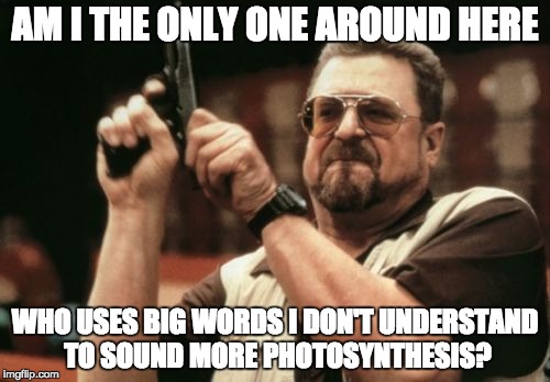 Am I The Only One Around Here |  AM I THE ONLY ONE AROUND HERE; WHO USES BIG WORDS I DON'T UNDERSTAND TO SOUND MORE PHOTOSYNTHESIS? | image tagged in memes,am i the only one around here | made w/ Imgflip meme maker