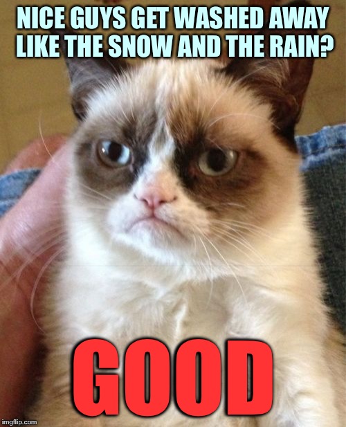 No offers coming over the phone ;) | NICE GUYS GET WASHED AWAY LIKE THE SNOW AND THE RAIN? GOOD | image tagged in memes,grumpy cat | made w/ Imgflip meme maker