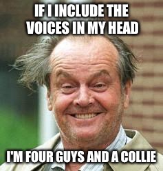 IF I INCLUDE THE VOICES IN MY HEAD I'M FOUR GUYS AND A COLLIE | made w/ Imgflip meme maker