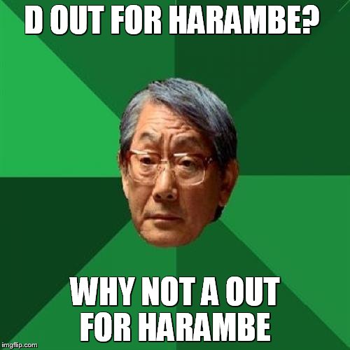 D out for harambe? | D OUT FOR HARAMBE? WHY NOT A
OUT FOR HARAMBE | image tagged in memes,high expectations asian father,harambe | made w/ Imgflip meme maker