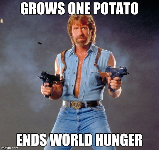 Chuck Norris Guns | GROWS ONE POTATO; ENDS WORLD HUNGER | image tagged in chuck norris | made w/ Imgflip meme maker