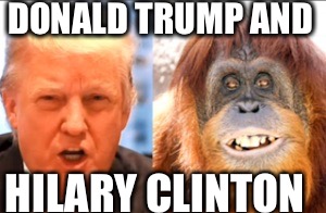 Donald trump is an orangutan | DONALD TRUMP AND; HILARY CLINTON | image tagged in donald trump is an orangutan | made w/ Imgflip meme maker