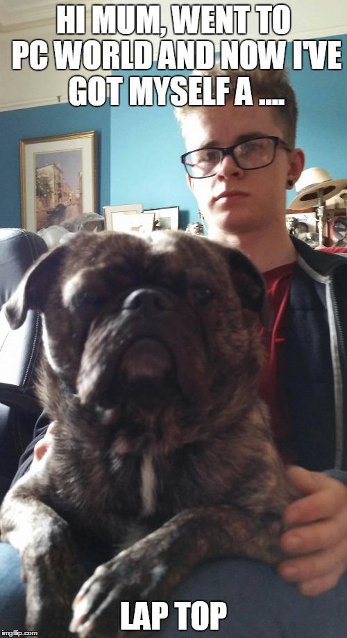 dog gets laptop | HI MUM, WENT TO PC WORLD AND NOW I'VE GOT MYSELF A .... LAP TOP | image tagged in pug,laptop,sad face | made w/ Imgflip meme maker