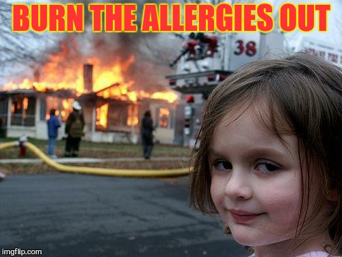 Disaster Girl Meme | BURN THE ALLERGIES OUT | image tagged in memes,disaster girl | made w/ Imgflip meme maker