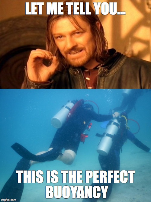 Diving | LET ME TELL YOU... THIS IS THE PERFECT BUOYANCY | image tagged in diving | made w/ Imgflip meme maker