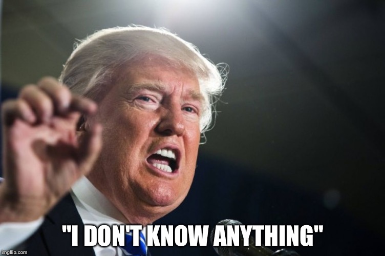 donald trump | "I DON'T KNOW ANYTHING" | image tagged in donald trump | made w/ Imgflip meme maker