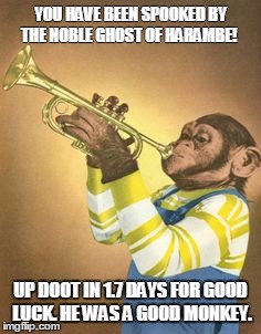 YOU HAVE BEEN SPOOKED BY THE NOBLE GHOST OF HARAMBE! UP DOOT IN 1.7 DAYS FOR GOOD LUCK. HE WAS A GOOD MONKEY. | image tagged in toomonkeyforme,ledootgeneration | made w/ Imgflip meme maker