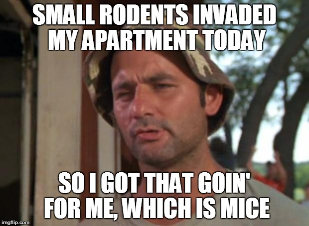 So I Got That Goin For Me Which Is Nice | SMALL RODENTS INVADED MY APARTMENT TODAY; SO I GOT THAT GOIN' FOR ME, WHICH IS MICE | image tagged in memes,so i got that goin for me which is nice,funny memes,mouse trap | made w/ Imgflip meme maker