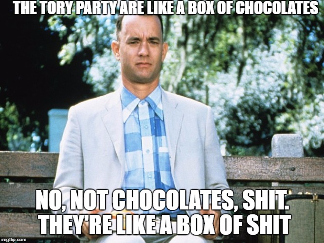 THE TORY PARTY ARE LIKE A BOX OF CHOCOLATES; NO, NOT CHOCOLATES, SHIT. THEY'RE LIKE A BOX OF SHIT | image tagged in torries,conservatives | made w/ Imgflip meme maker