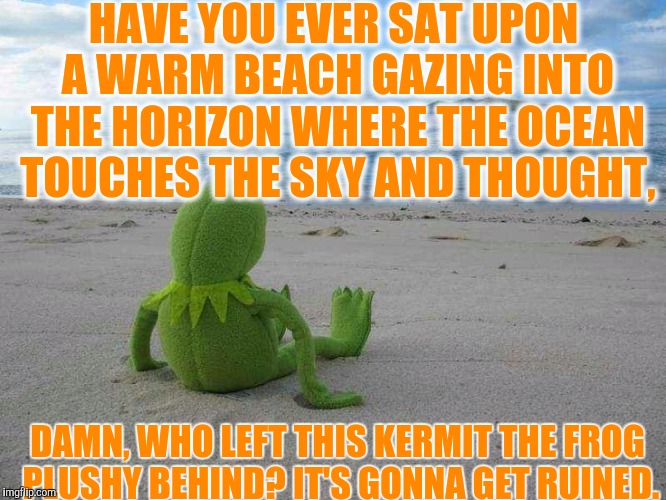 HAVE YOU EVER SAT UPON A WARM BEACH GAZING INTO THE HORIZON WHERE THE OCEAN TOUCHES THE SKY AND THOUGHT, DAMN, WHO LEFT THIS KERMIT THE FROG PLUSHY BEHIND? IT'S GONNA GET RUINED. | made w/ Imgflip meme maker