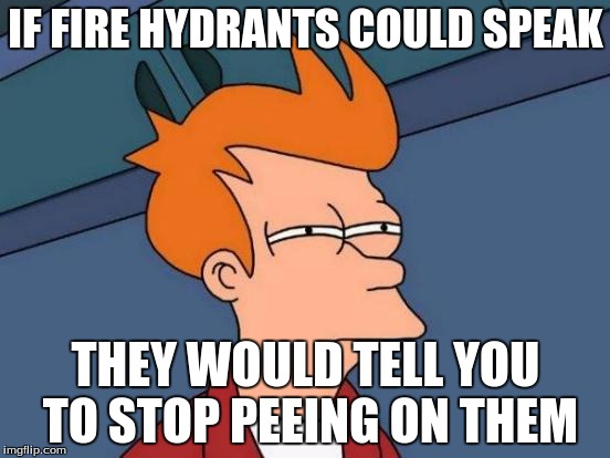 Futurama Fry | IF FIRE HYDRANTS COULD SPEAK; THEY WOULD TELL YOU TO STOP PEEING ON THEM | image tagged in memes,futurama fry | made w/ Imgflip meme maker