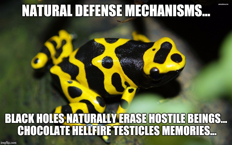 NATURAL DEFENSE MECHANISMS... BLACK HOLES NATURALLY ERASE HOSTILE BEINGS... CHOCOLATE HELLFIRE TESTICLES MEMORIES... | image tagged in blackhole thc programmed cell death testicles | made w/ Imgflip meme maker