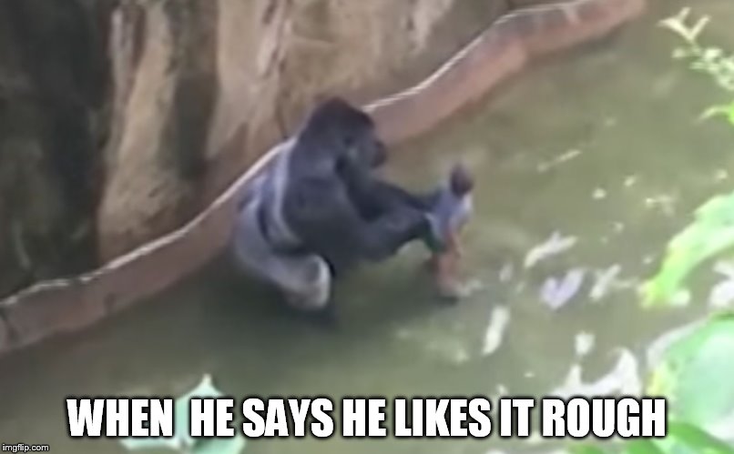 Harambe | WHEN  HE SAYS HE LIKES IT ROUGH | image tagged in harambe | made w/ Imgflip meme maker