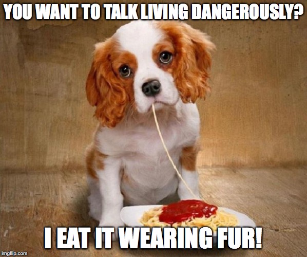 YOU WANT TO TALK LIVING DANGEROUSLY? I EAT IT WEARING FUR! | made w/ Imgflip meme maker