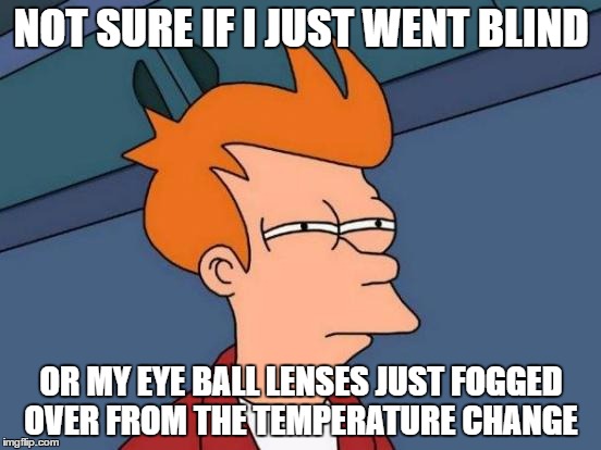 i hate it when I go from a cold inside to a hot outside | NOT SURE IF I JUST WENT BLIND; OR MY EYE BALL LENSES JUST FOGGED OVER FROM THE TEMPERATURE CHANGE | image tagged in memes,futurama fry | made w/ Imgflip meme maker