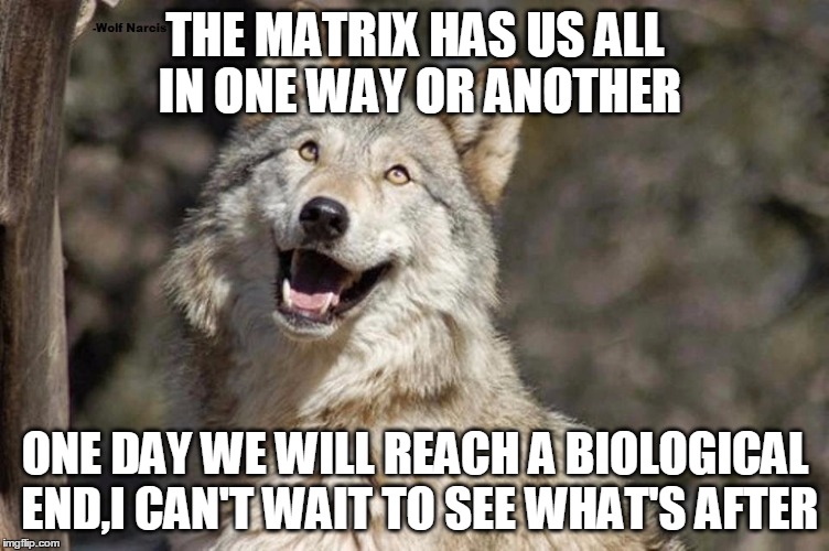 Optimistic Moon Moon Wolf Vanadium Wolf | THE MATRIX HAS US ALL IN ONE WAY OR ANOTHER; ONE DAY WE WILL REACH A BIOLOGICAL END,I CAN'T WAIT TO SEE WHAT'S AFTER | image tagged in optimistic moon moon wolf vanadium wolf | made w/ Imgflip meme maker