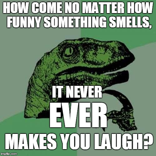 Philosoraptor | HOW COME NO MATTER HOW FUNNY SOMETHING SMELLS, IT NEVER; EVER; MAKES YOU LAUGH? | image tagged in memes,philosoraptor | made w/ Imgflip meme maker