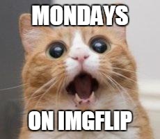 Seeing what I missed over the weekend | MONDAYS; ON IMGFLIP | image tagged in wow | made w/ Imgflip meme maker