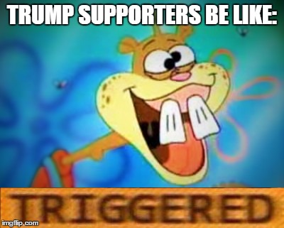Sandy Cheeks Triggered | TRUMP SUPPORTERS BE LIKE: | image tagged in sandy cheeks triggered | made w/ Imgflip meme maker