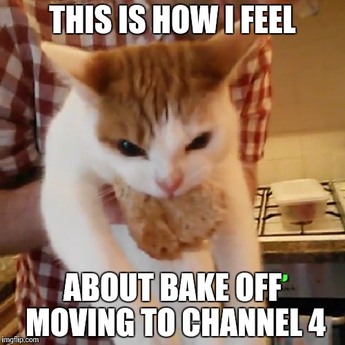 This is how I feel about Bake Off moving to Channel 4. | THIS IS HOW I FEEL; ABOUT BAKE OFF MOVING TO CHANNEL 4 | image tagged in cats,funny cats,cat food | made w/ Imgflip meme maker