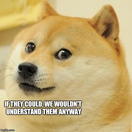 Doge Meme | IF THEY COULD, WE WOULDN'T UNDERSTAND THEM ANYWAY | image tagged in memes,doge | made w/ Imgflip meme maker