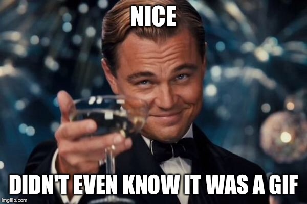 Leonardo Dicaprio Cheers Meme | NICE DIDN'T EVEN KNOW IT WAS A GIF | image tagged in memes,leonardo dicaprio cheers | made w/ Imgflip meme maker