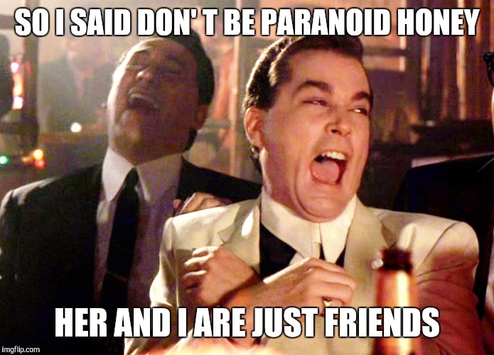 Good Fellas Hilarious Meme | SO I SAID DON' T BE PARANOID HONEY; HER AND I ARE JUST FRIENDS | image tagged in memes,good fellas hilarious | made w/ Imgflip meme maker