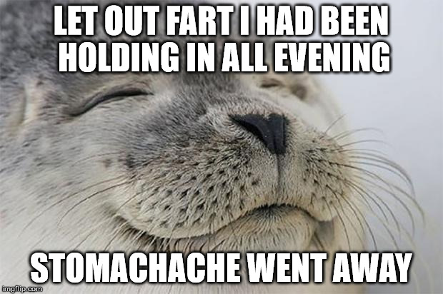 Satisfied Seal Meme | LET OUT FART I HAD BEEN HOLDING IN ALL EVENING; STOMACHACHE WENT AWAY | image tagged in memes,satisfied seal,AdviceAnimals | made w/ Imgflip meme maker